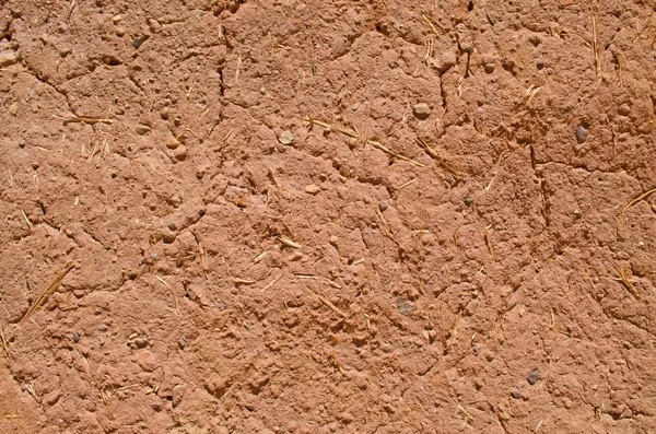 NEUER ARTIKEL: DIE ZUKUNFT DES BAUENS IST AUS ERDE